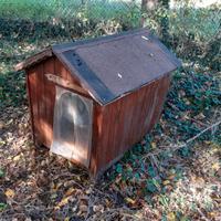 Cuccia grande in legno