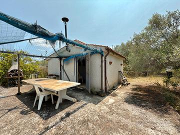 Terreno agricolo a Partinico, Cda Passerello