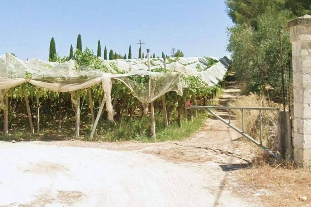 Immobile in asta di 592 m² a Canosa di Puglia - Vista 3