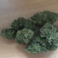 Erba light naturale, canapa Skunk Top di gamma
