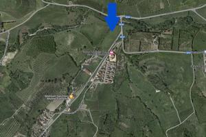 San Floro zona Torre del Duca terreno di 17.000 mq