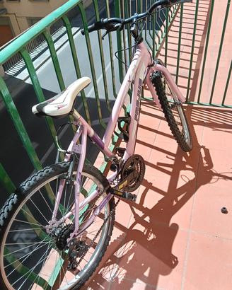 bicicletta 24