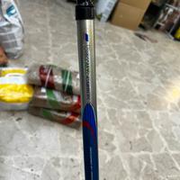 Canne da pesca linea effe