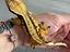 Immagine 6