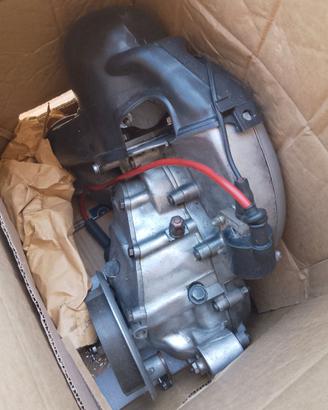 Motore Vespa V5A2M Revisionato