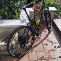 Bici mtb