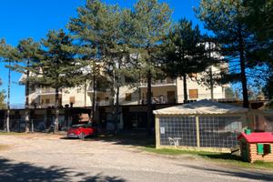 Appartamento nel comune di pieve santostefano