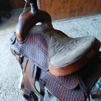 Coppia di Selle 