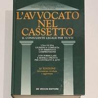 L'avvocato nel cassetto. Il consulente legale.
