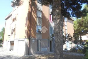 3 LOCALI A COMACCHIO