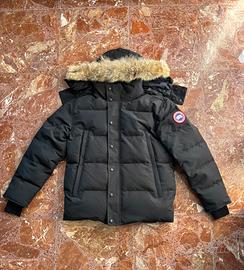 canada goose