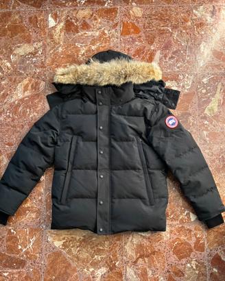 canada goose