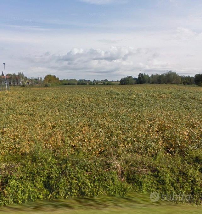 Terreno agricolo sempre coltivato e ben tenuto - Vista 4