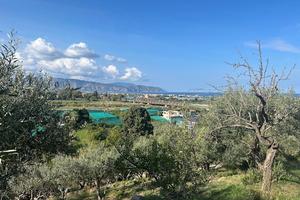 Terreno Agricolo Terme Vigliatore