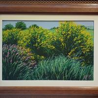 FRANCO AZZINARI: olio su tela 30 x 45 cm