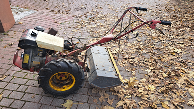 Motocoltivatore pasquali 461