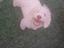 Immagine 3