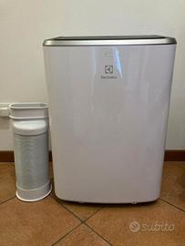 Condizionatore portatile (Pinguino) Elettrolux