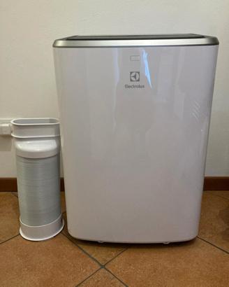 Condizionatore portatile (Pinguino) Elettrolux