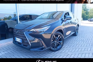 Lexus NX PLUG-IN 4WD PREMIUM+ MY24