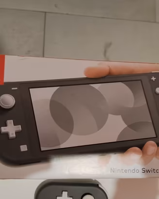 Nintendo switch lite