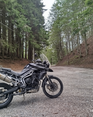 Tiger XC 800