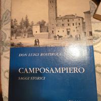 Camposampiero,  saggi storici