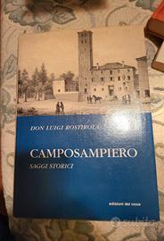 Camposampiero,  saggi storici