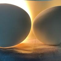 Applique Flos Foglio originale T.Scarpa, anni '60