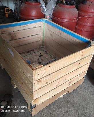 Mangiatoia per cavalli