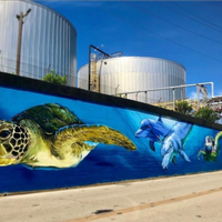 MURALES & DECORAZIONI: Trasforma le tue pareti