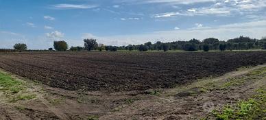 Terreno agricolo 1 ettaro