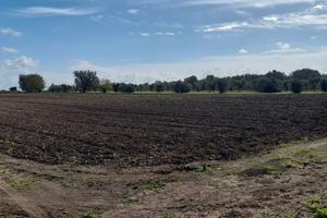 Terreno agricolo 1 ettaro