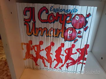 esplorando il corpo umano