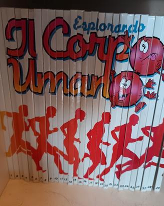 esplorando il corpo umano