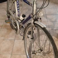Bicicletta da uomo