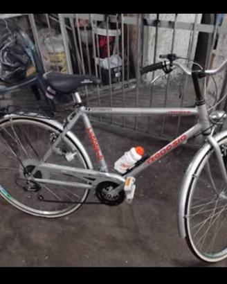 Bici da passeggio 28
