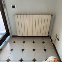 Caldaia a gas metano + 10 termosifoni in alluminio