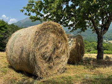 Balloni di fieno prato stabile