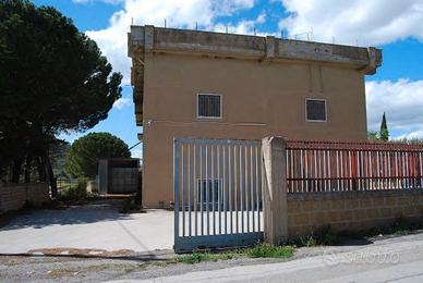 RGE 50/2022 Trib ENNA