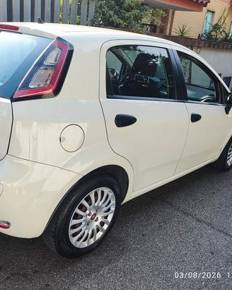 Fiat Punto 1.4 8V 5 porte Easypower Street