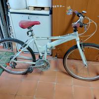 bici pieghevole 