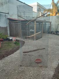 voliera 
