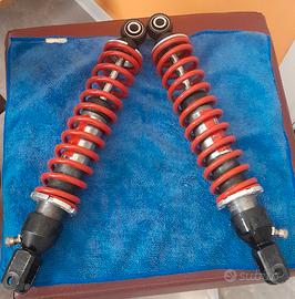 ammortizzatori Bitubo gas