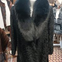 Persiano Nero con Volpe 