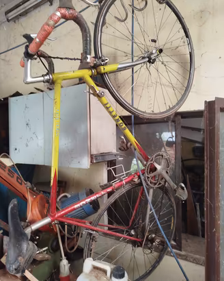 biciclette usate 