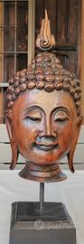Statua testa di Buddha 