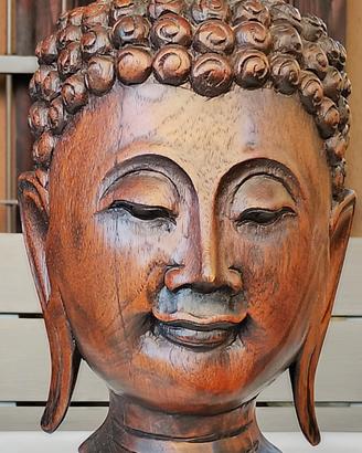 Statua testa di Buddha 