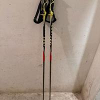 bastoncini sci