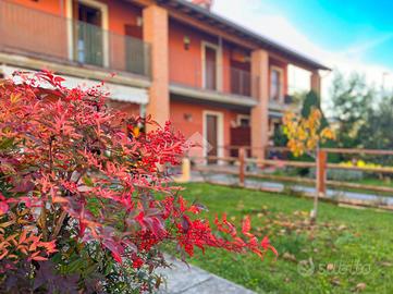 6 LOCALI A COLOGNOLA AI COLLI